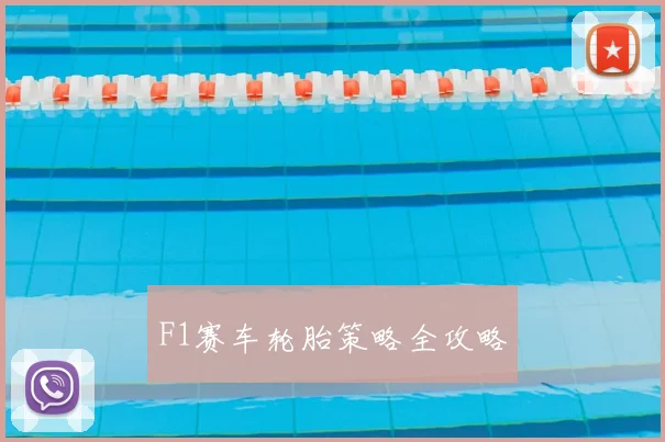 F1赛车轮胎策略全攻略