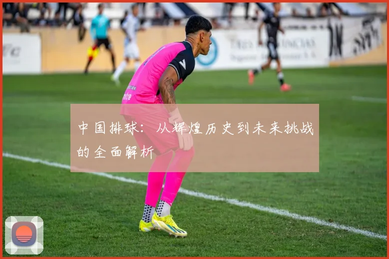 中国排球：从辉煌历史到未来挑战的全面解析