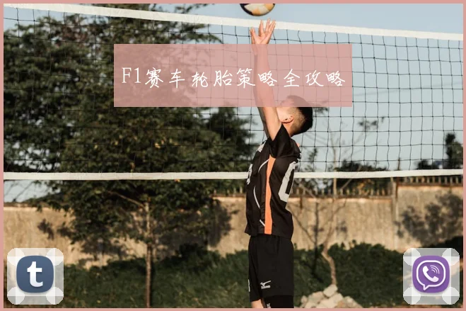F1赛车轮胎策略全攻略